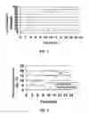 Fig. 02 - Modified release dosage forms of skeletal muscle relaxants