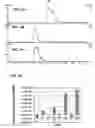 Fig. 07 - Beverage compositions comprising monatin and methods of making same