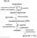 Fig. 08 - Beverage compositions comprising monatin and methods of making same