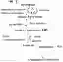 Fig. 09 - Beverage compositions comprising monatin and methods of making same