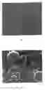 Fig. 02 - Sheet having a rough feel