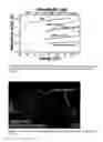 Fig. 09 - Aluminum phosphate compounds, compositions, materials and related composites