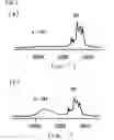 Fig. 02 - Organometallic polymer material and process for preparing the same