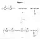 Fig. 02 - Process for preparing crosslinked polymer blends that include a luminescent polymer