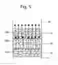 Fig. 06 - Organic electroluminescent devices