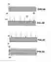 Fig. 06 - Twin-wire arc deposited electrode, solid electrolyte membrane, membrane electrode assembly and fuel cell