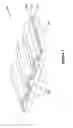 Fig. 02 - Dual chamber fuel cell elements