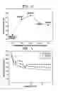 Fig. 03 - Organic electrolytic solution and lithium battery using the same