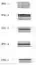 Fig. 02 - Electrophotographic photoconductor comprising a polycarbonate resin having a dihydroxy diphenyl ether unit
