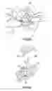 Fig. 06 - Dental evacuation mirror