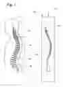 Fig. 02 - Three-dimensional in-vitro spinal models and methods of analyzing substance distribution therein
