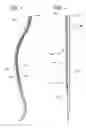 Fig. 04 - Three-dimensional in-vitro spinal models and methods of analyzing substance distribution therein