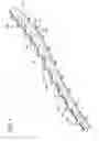 Fig. 05 - Three-dimensional in-vitro spinal models and methods of analyzing substance distribution therein