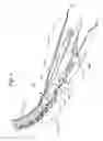 Fig. 06 - Three-dimensional in-vitro spinal models and methods of analyzing substance distribution therein