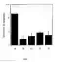 Fig. 03 - Cryopreservation of pluripotent stem cells