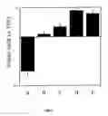 Fig. 04 - Cryopreservation of pluripotent stem cells