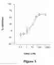 Fig. 06 - Method of screening for potential anti-bacterial agents