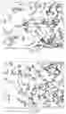 Fig. 08 - Suppression of non-biological motion