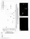Fig. 07 - Library of modified structural genes or capsid modified particles useful for the identification of viral clones with desired cell tropism