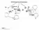 Fig. 04 - Viral vector