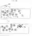 Fig. 05 - Selection methods
