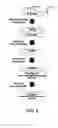 Fig. 08 - Method and apparatus for detection of microscopic pathogens