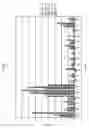 Fig. 04 - Epitope profiles of SARS coronavirus