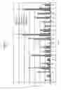 Fig. 06 - Epitope profiles of SARS coronavirus