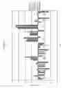 Fig. 14 - Epitope profiles of SARS coronavirus