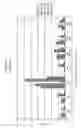 Fig. 19 - Epitope profiles of SARS coronavirus