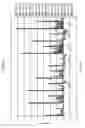 Fig. 35 - Epitope profiles of SARS coronavirus