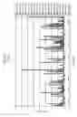 Fig. 37 - Epitope profiles of SARS coronavirus