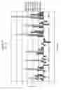 Fig. 40 - Epitope profiles of SARS coronavirus