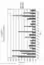 Fig. 41 - Epitope profiles of SARS coronavirus