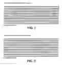 Fig. 02 - Saitohin gene and uses of same