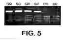 Fig. 04 - Saitohin gene and uses of same