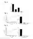 Fig. 05 - Biochip sensor surface carrying polyethylene glycolated nanoparticles