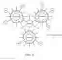 Fig. 03 - Solid-state colorimetric biosensors comprised of dendritic polymer networks