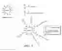 Fig. 04 - Solid-state colorimetric biosensors comprised of dendritic polymer networks