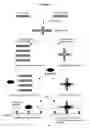 Fig. 02 - Method and kit for detecting mutation or nucleotide variation of organism