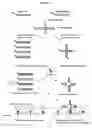 Fig. 03 - Method and kit for detecting mutation or nucleotide variation of organism
