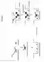 Fig. 09 - Method and kit for detecting mutation or nucleotide variation of organism