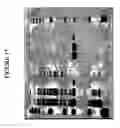 Fig. 16 - Method and kit for detecting mutation or nucleotide variation of organism