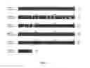 Fig. 05 - Regulated angiogenesis genes and polypeptides