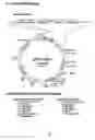 Fig. 07 - Compositions and methods utilizing stable reporter cell lines for detection of CREB-dependent signal transduction