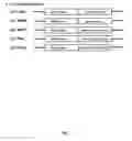 Fig. 08 - Compositions and methods utilizing stable reporter cell lines for detection of CREB-dependent signal transduction