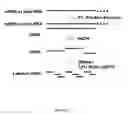 Fig. 04 - Methods and kits for preparing nucleic acid samples