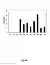 Fig. 05 - In vitro selection of aptamer beacons