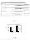 Fig. 07 - In vitro selection of aptamer beacons