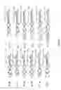 Fig. 10 - In vitro selection of aptamer beacons